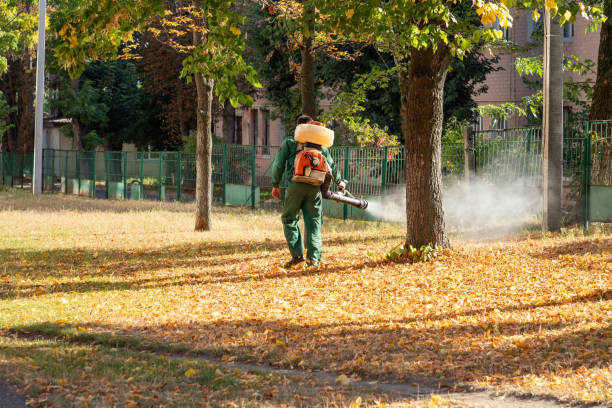 Best Spider Control Near Me  in Ellensburg, WA